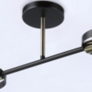 Потолочный светильник Traditional TR8225/2 BK/SB 21век
