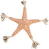 Игрушка для собак Be Eco Морская звезда Jane 36046 21век