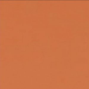 Фон бумажный 1042 Spice / ут-00000698 21век