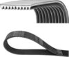 Ремень генератора 10PK1512SHD 21век