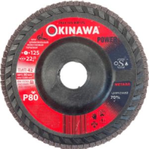 Шлифовальный круг 125-80P-PS 21век