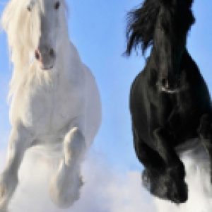 Инфракрасный обогреватель Пегас 19с425 21век