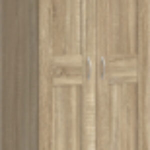 Шкаф Макс 2 двери 2.06.01.030.3 21век