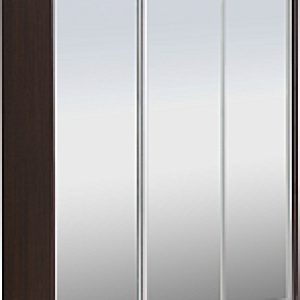 Шкаф-купе 233 VVX Elgon РГ-01.04 21век