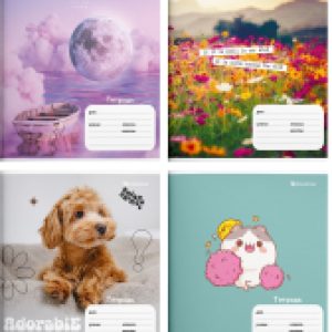 Набор тетрадей Микс для девочек / ТШЛ24-МДД-НМП 21век