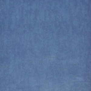 Бумажные обои Техас фон С25-МО к-82 21век