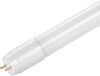 Лампа 25ST8-10G13 21век