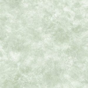 Бумажные обои Амазонка-2 9437 21век