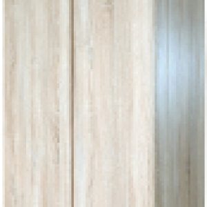 Шкаф Турин ТР-2D2S/S 21век