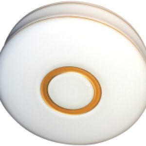Потолочный светильник Ролла 300 НПО 22-2x60-210 / 1005154022 21век