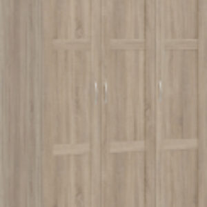 Шкаф Пегас 3-х створчатый 2.04.01.090.3 21век