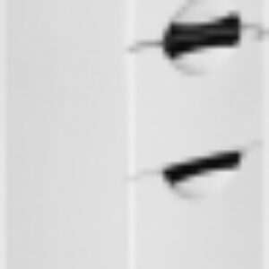 Шкаф-пенал для ванной Кассиопея 35 R 518676 21век