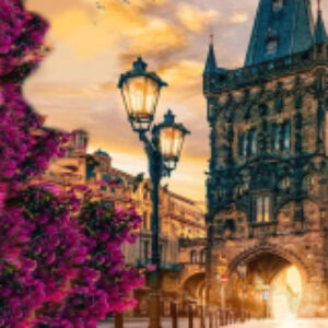 Картина по номерам Старинная аллея 40х50 VA-3619 21век