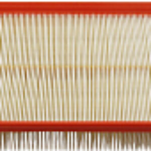 Воздушный фильтр 50013290 21век