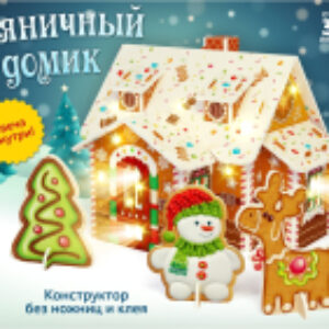 Конструктор Пряничный домик / 7867866 21век