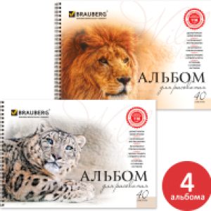 Набор альбомов для рисования Хищники / 880032 21век