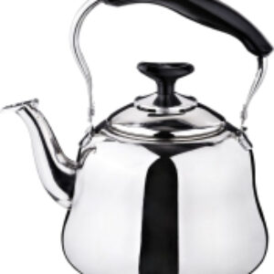 Чайник со свистком 909-601 21век