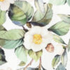 Скатерть Сamellia / 7560432 21век