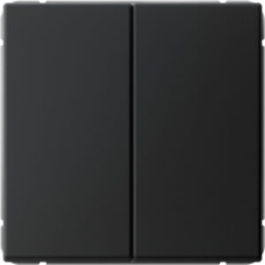 Выключатель ArtGallery GAL001051 21век