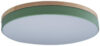 Потолочный светильник Axel 10001/36 Green 21век