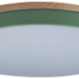 Потолочный светильник Axel 10001/36 Green 21век