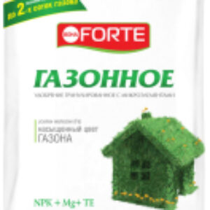 Удобрение Газонное весна BF23010711 21век