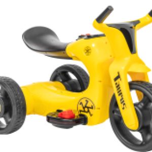 Детский мотоцикл Taurus BJS168 21век