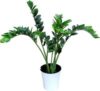 Искусственное растение Замиокулькас / BN10792 21век