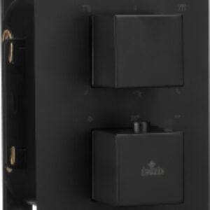 Внешняя часть смесителя скрытого монтажа Box BXY NEAT 21век