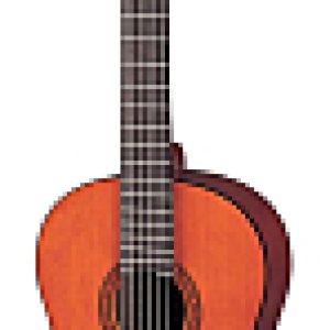 Акустическая гитара CGS-103A 21век