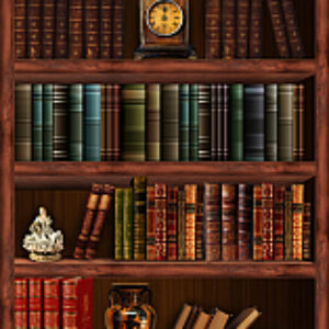 Фотообои листовые Библиотека 21век