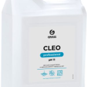 Универсальное чистящее средство Cleo / 125415 21век