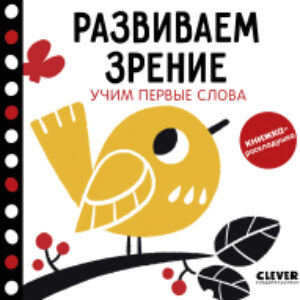 Развивающая книга Развиваем зрение. Учим первые слова 21век