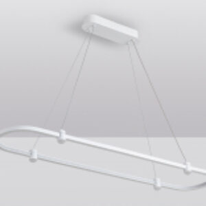 Потолочный светильник Comfort / FL5588 21век