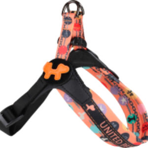 Шлея Complete Me Forever 2.5x40-54см 21век