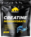 Креатин Monohydrate Micronized 100% Pure 21век
