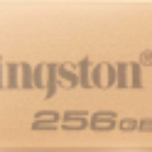 USB flash накопитель DataTraveler SE9 G3 256GB (DTSE9G3/256GB) 21век