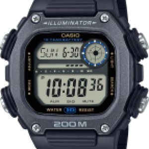 Часы наручные мужские DW-291HX-1A 21век