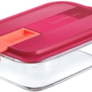Контейнер Easy Box Q3167 21век