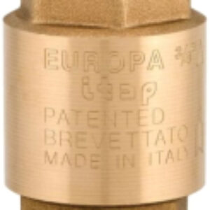 Обратный клапан магистральный Europa 1" DN 25 1000100 21век