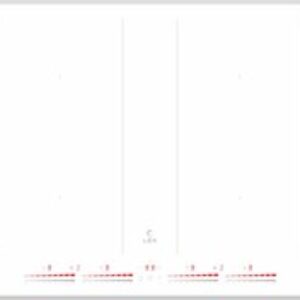 Индукционная варочная панель EVI 641C WH 21век