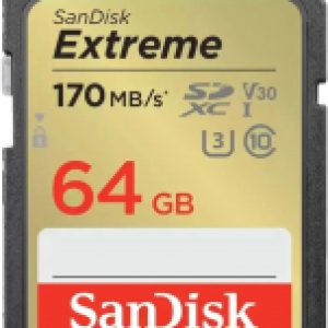 Карта памяти Extreme Class 64GB (SDSDXV2-064G-GNCIN) 21век