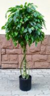 Искусственное растение Дерево Ficus / FGN BF01693 21век