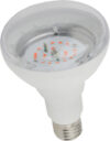 Лампа для растений FITO-16W-RB-E27-K / Б0039072 21век
