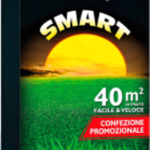 Семена газонной травы Смарт 21век