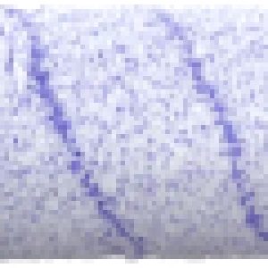 Шубка для ролика малярного K25W9 47489 21век