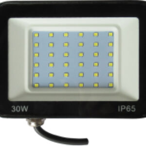 Прожектор LED TV-603-30W-6500K-IP65 21век