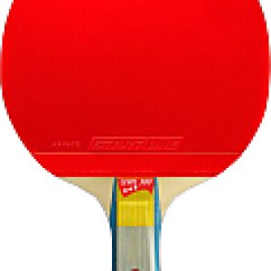 Ракетка для настольного тенниса Level 300 12402 21век