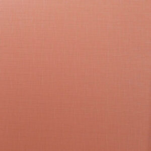 Рулонная штора Лайт LM 30-12C 57x160 21век