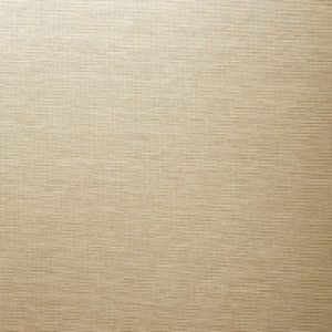 Рулонная штора Камелия LM 49-02 21век